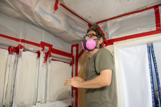 Best Basement Mold Removal  in Underwood, IA